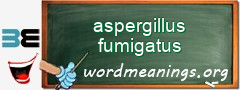 WordMeaning blackboard for aspergillus fumigatus